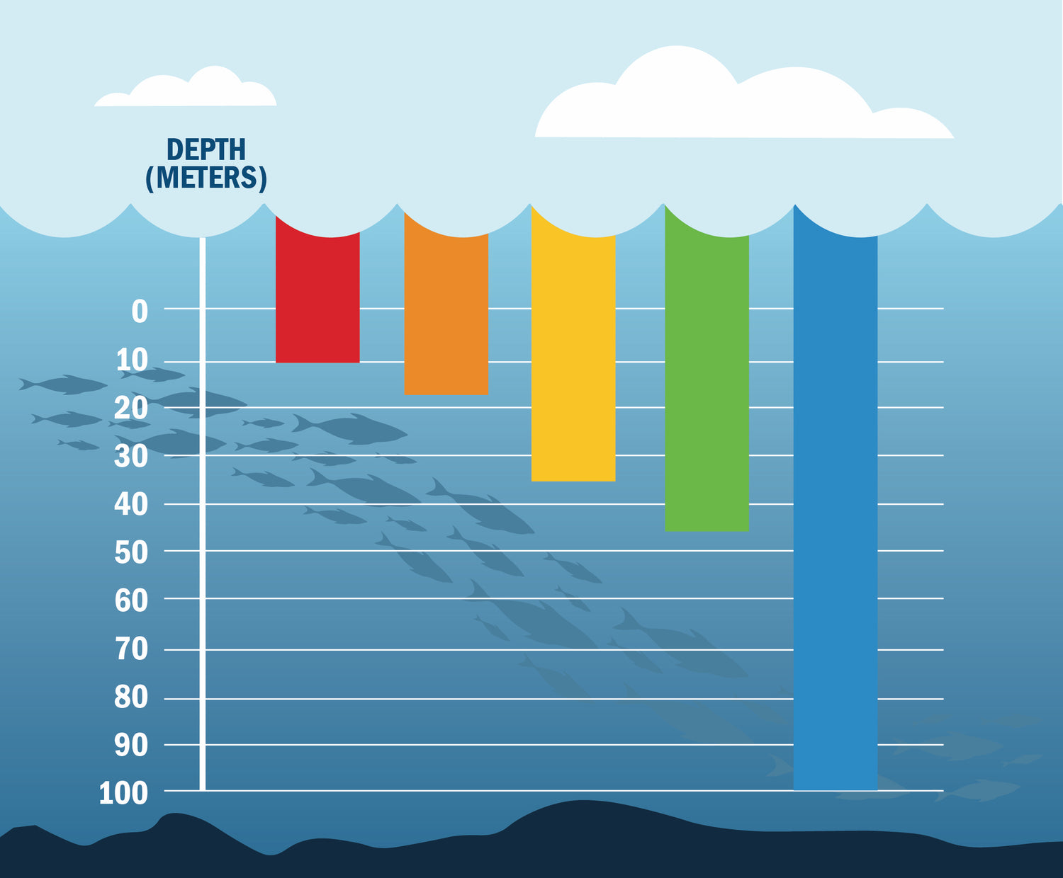 fish vision chart using colors as depth increases (red, orange, yellow, green, blue)